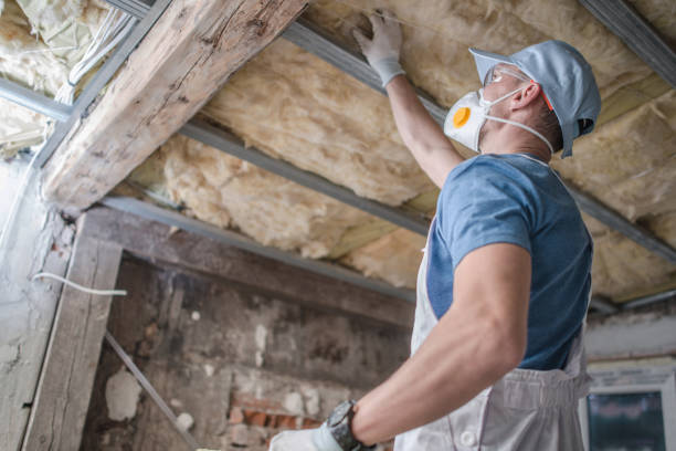 Best DIY Insulation Kits and Guidance in Hampden Sydney, VA