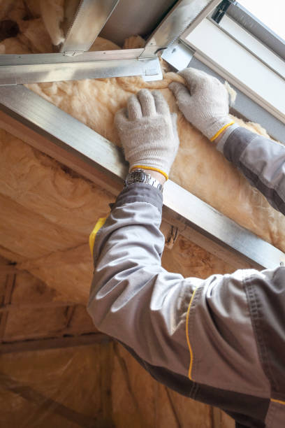 Best Spray Foam Insulation in Hampden Sydney, VA