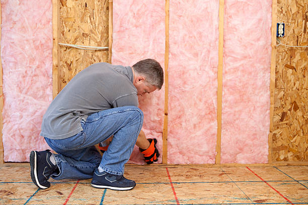Best Spray Foam Insulation in Hampden Sydney, VA