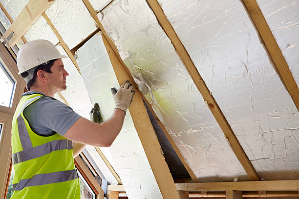 Best DIY Insulation Kits and Guidance in Hampden Sydney, VA