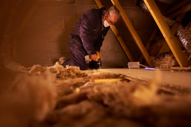 Best Insulation Maintenance and Repair in Hampden Sydney, VA