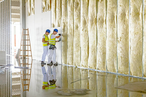 Best Geographic-Specific Insulation Services in Hampden Sydney, VA